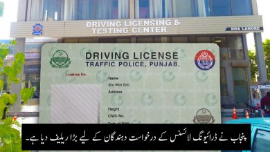 ڈرائیونگ لائسنس