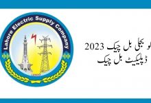 2023 لیسكو بجلی بل چیک