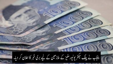 پبلک سیکٹر یونیورسٹیز