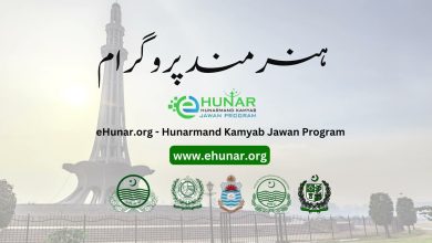 ای ہنر پروگرام