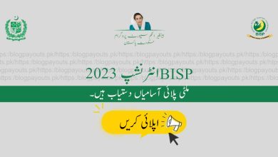 BISP انٹرنشپ پروگرام
