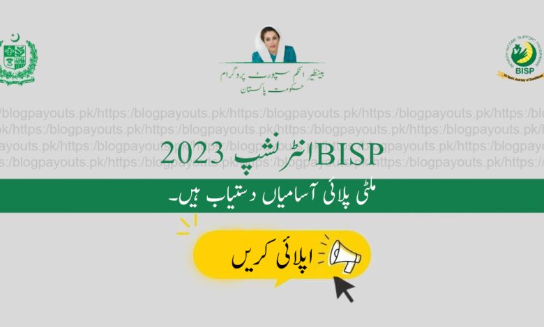BISP انٹرنشپ پروگرام