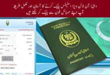 آن لائن ویزا اسٹیٹس
