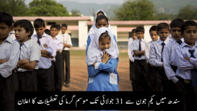 Sindh Summer School Vacation 2023