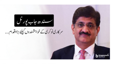 سندھ جاب پورٹل